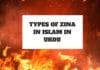 Types of Zina in Islam in Urdu