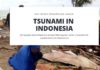 TSUNAMI IN INDONESIA