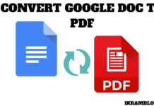 HOW TO SAVE A GOOGLE DOC AS A PDF
