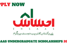 Ehsaas Undergraduate Scholarship Program 2022