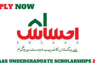 Ehsaas Undergraduate Scholarship Program 2021
