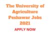 The University of Agriculture Peshawar Jobs 2021