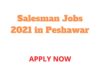Salesman Jobs 2021 in Peshawar