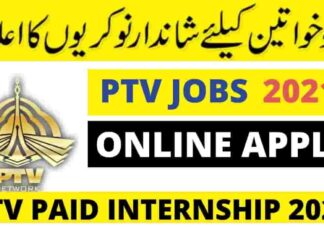 Ptv jobs online apply for paid internship 2021