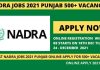 Nadra jobs 2021 Punjab online apply for 500+ Vacancies