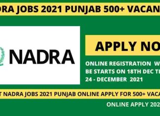 Nadra jobs 2021 Punjab online apply for 500+ Vacancies