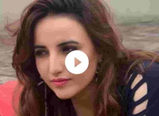 Hareem Shah money laundering viral video