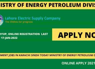 Ministry of Energy Petroleum Division Jobs Application form