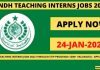 Sindh Teaching Interns Jobs 2022 online Apply