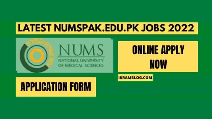 numspak.edu.pk jobs