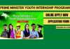 prime minister youth internship program